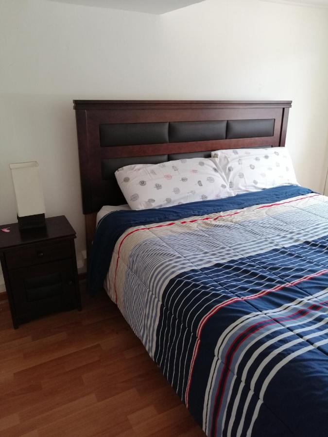Wild Santiago Hostel Экстерьер фото